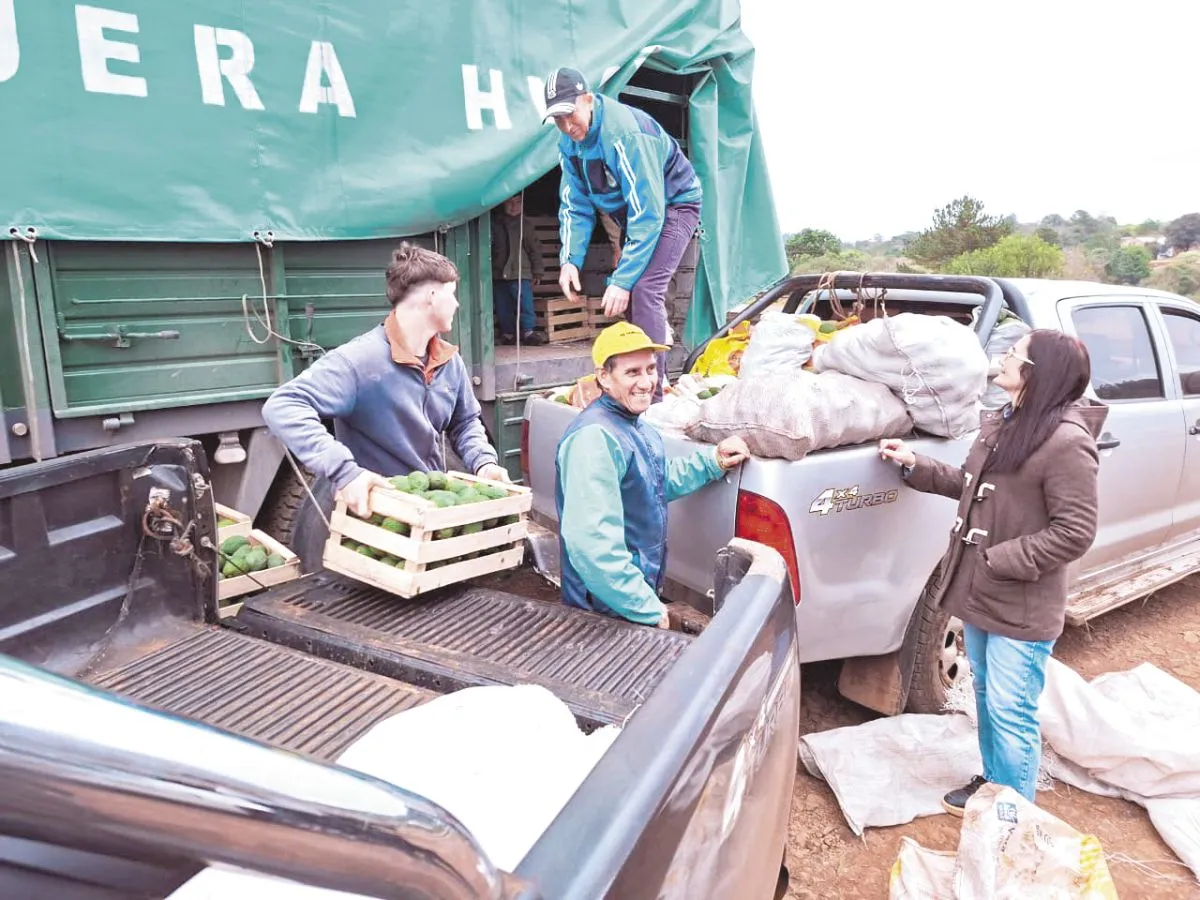 Productores enviaron carga de palta Hass a Tucumán