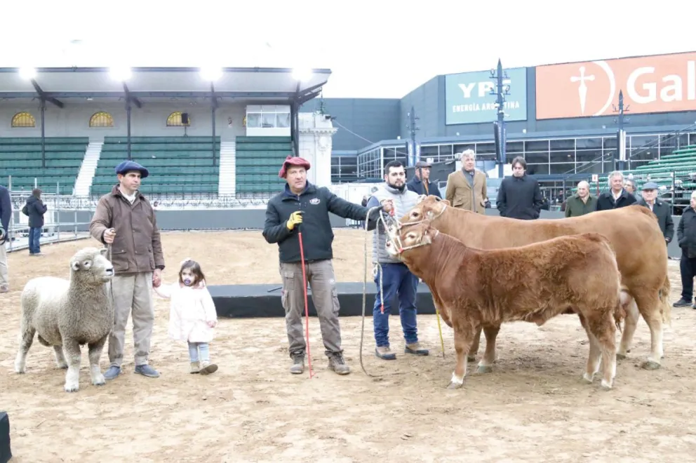 La vaca Tini tini y su ternero De Paul de la raza Limousin en Palermo.