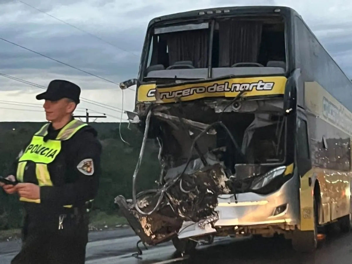Colectivo de larga distancia chocó con un camión sobre la Ruta 12