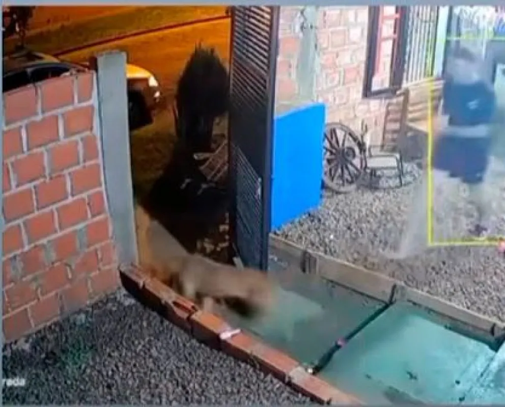 El video de la agresión se hizo viral en las redes sociales.