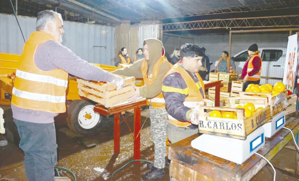Cada rescate implica una logística para preservar los alimentos.  