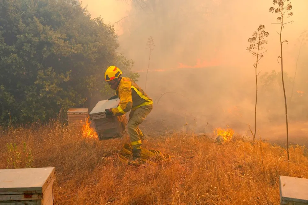 Los incendios son más frecuentes en varias zonas por el calor extremo.