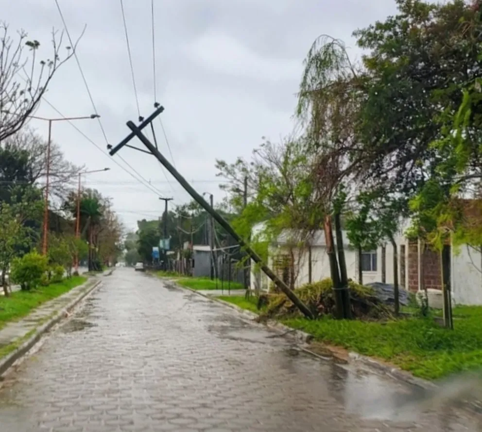 Foto: Matías Sánchez.