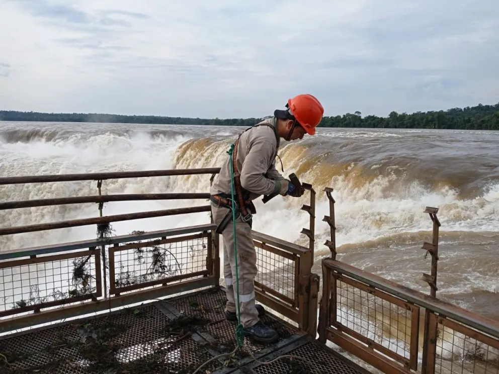 Imagen referencial (Parque Nacional Iguazú).