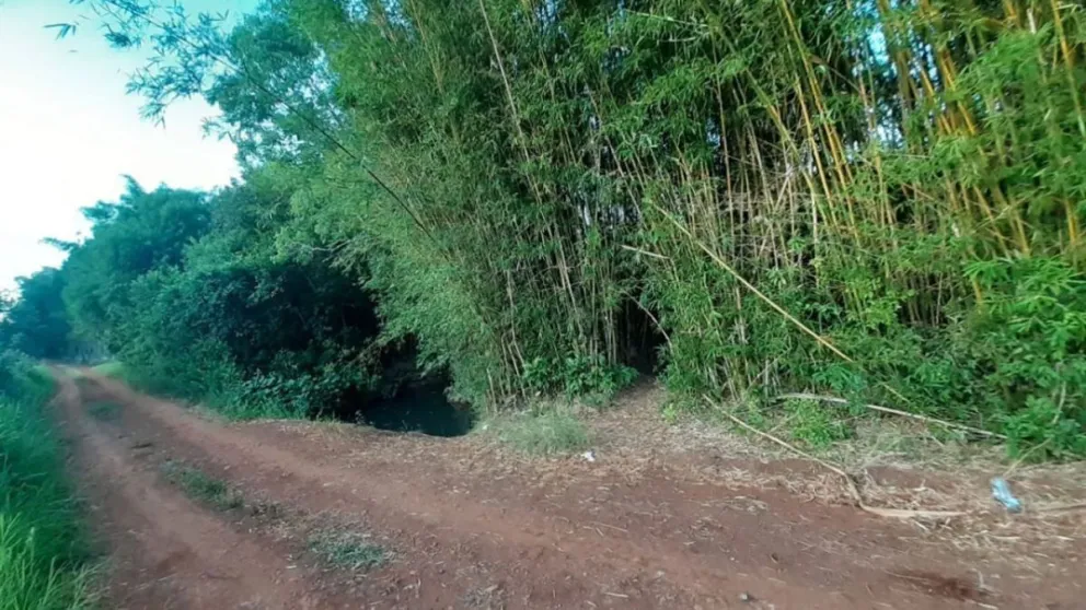 El cuerpo del joven fue encontrado en una zona de espesa vegetación, cercana al barrio María Auxiliadora de Azara. Foto: El Territorio/Archivo