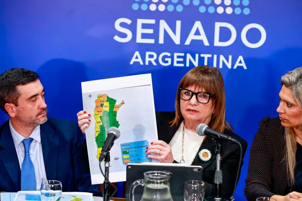 La exministra resaltó modificaciones y se posicionó como antikirchnerista.  