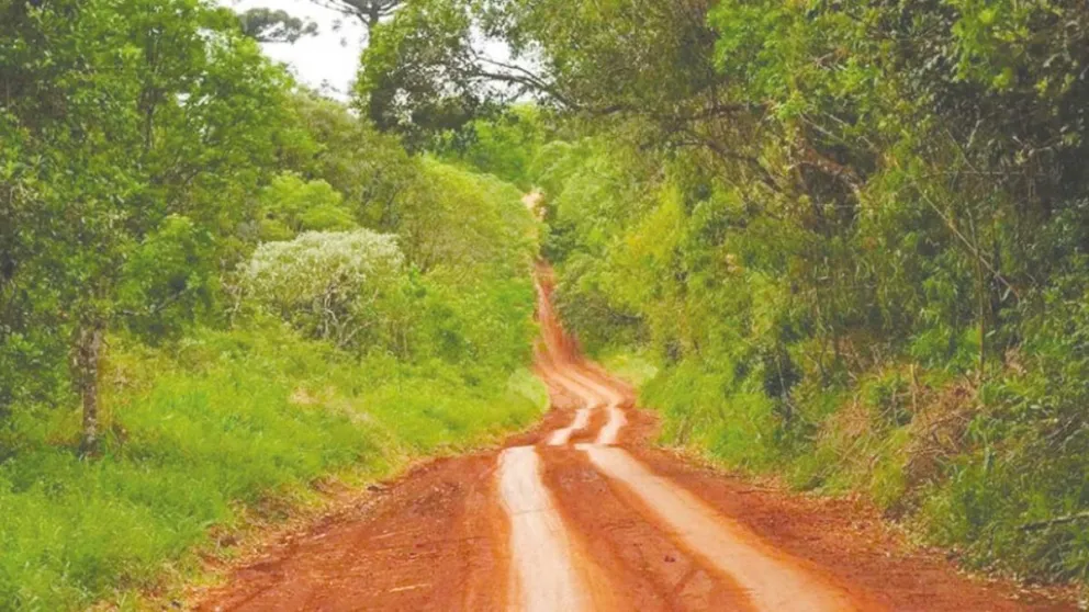 En Misiones, Puerto Libertad está en un 80% en manos de extranjeros.