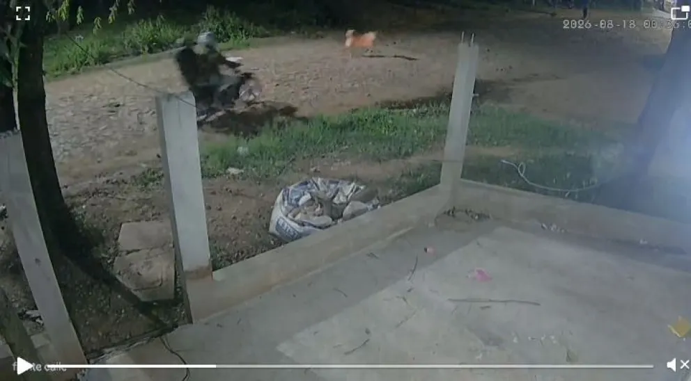 Foto. Captura de video
