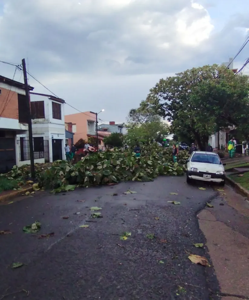 Fotos: Julián Grondona.