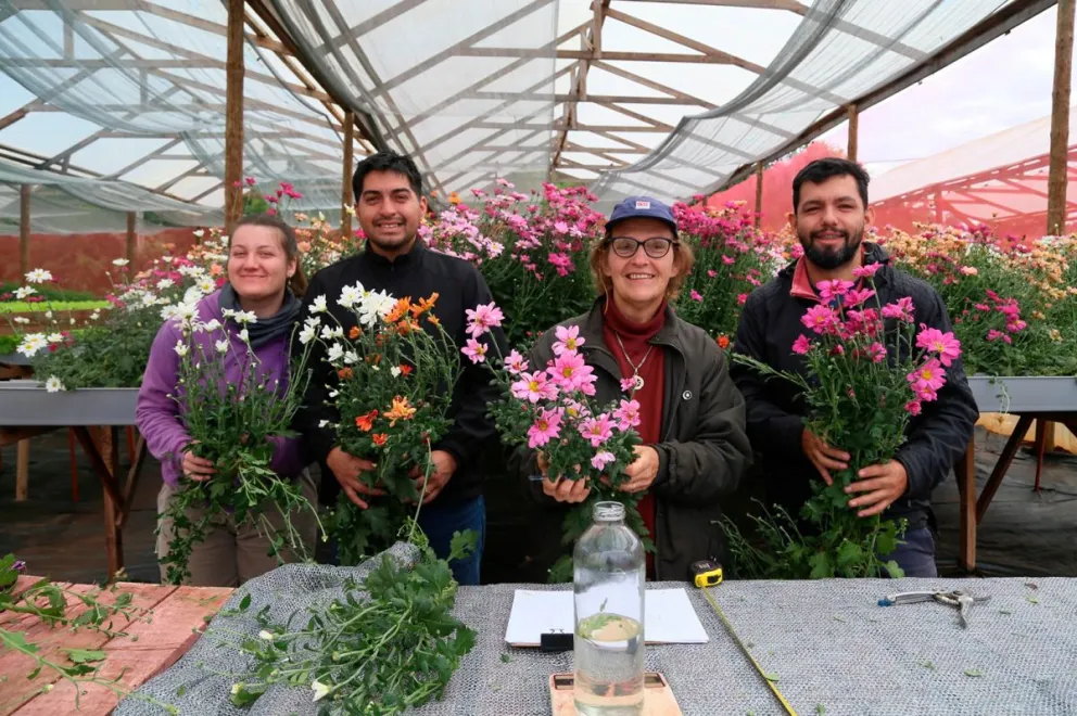 En Eldorado apuntan a la propagación de flores con hidroponia. 