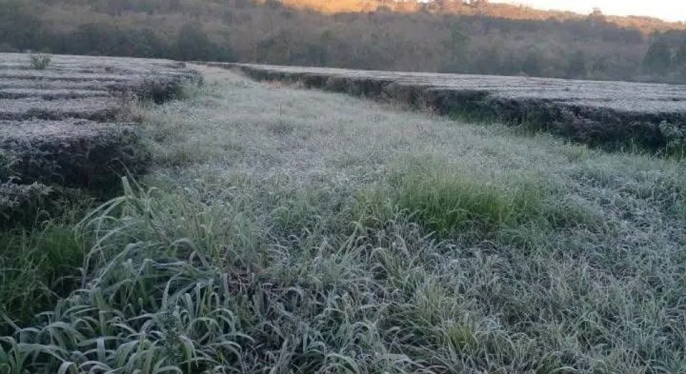 En algunas zonas, el amanecer de este lunes se vistió de blanco. Foto: Pronóstico del Litoral. 