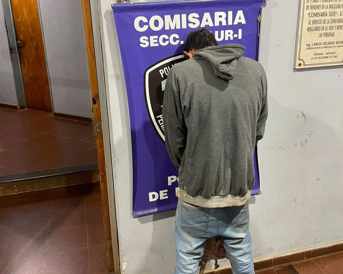 Insólito: prófugo de la justicia se trepo a un árbol para tratar de huir de la Policía · Examedia