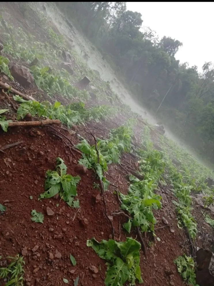 Desolación en el sector productivo: las tormentas severas volvieron a golpear con dureza a las chacras. Fotos: Carina Martínez