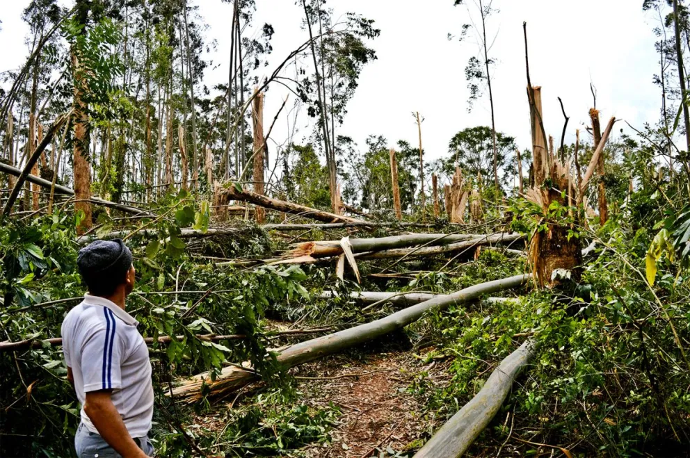 El desastre que dejó el paso del tornado. //Fotos: Julián Grondona.