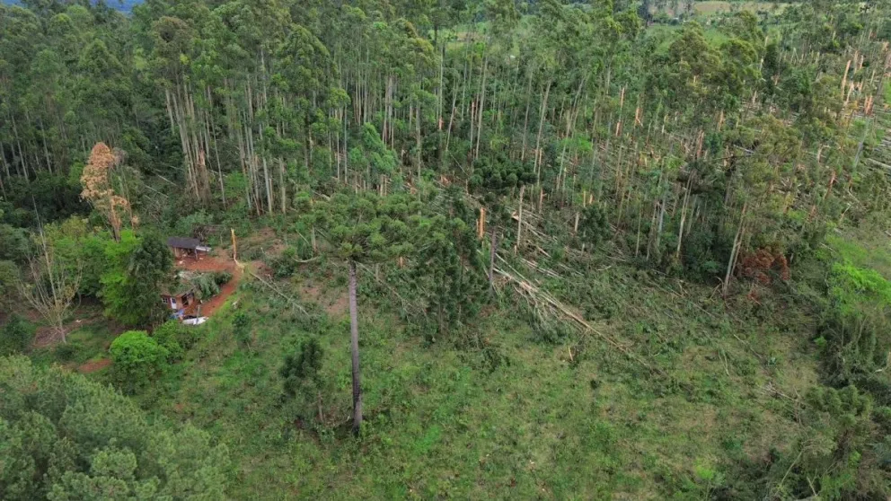 La magnitud del tornado en San Pedro: imágenes aéreas exponen el camino de la devastación