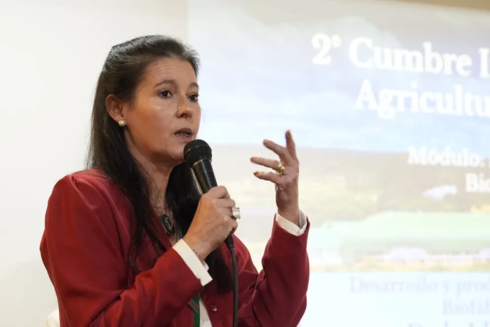 Foto: Marcelo Rodríguez.