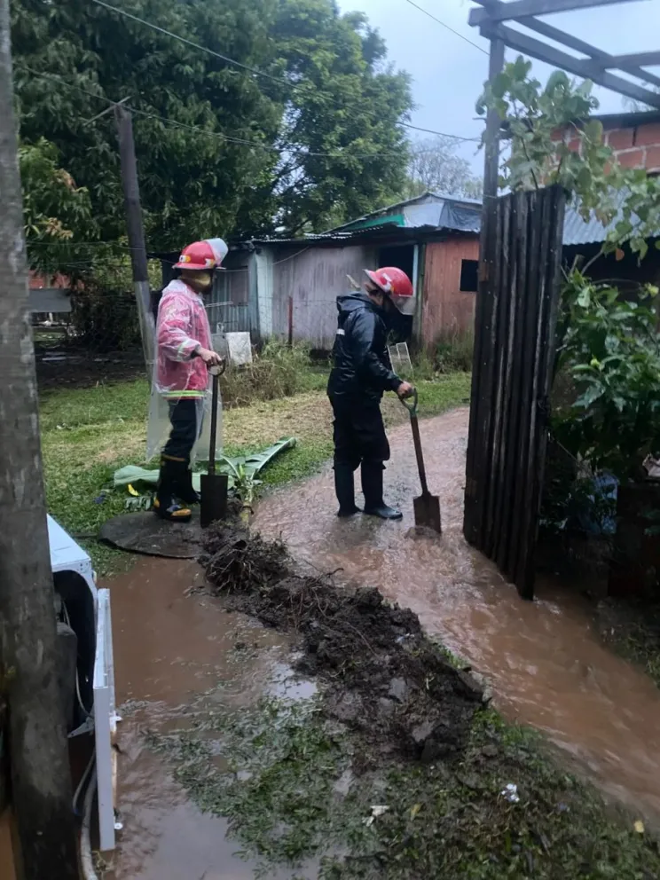 Foto: Policía de Misiones.