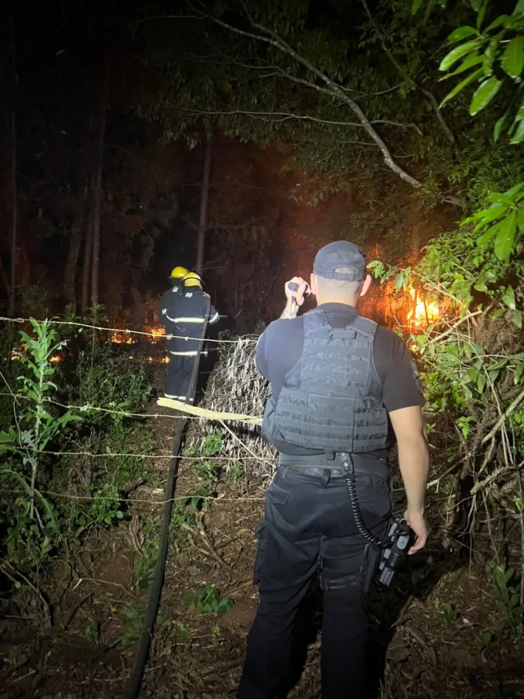 Foto: Policía de Misiones 