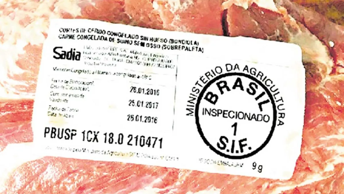 Cerdo brasileño