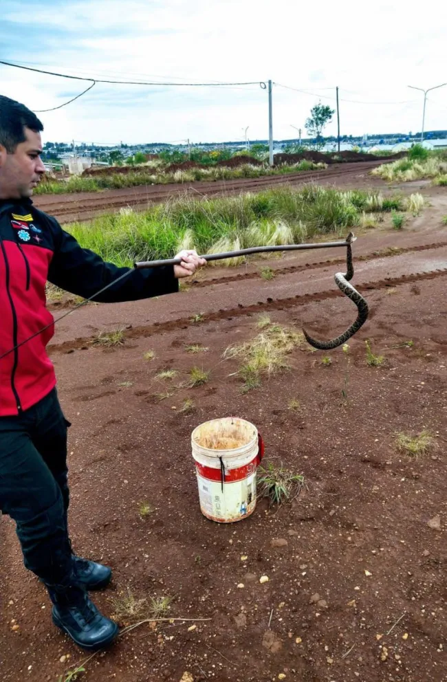 Foto: Policía de Misiones 