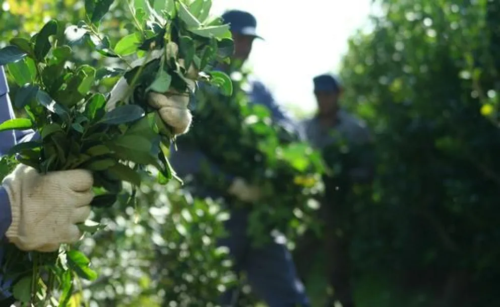 Productores recuerdan a diputados de Misiones que la tierra no es mercancía.