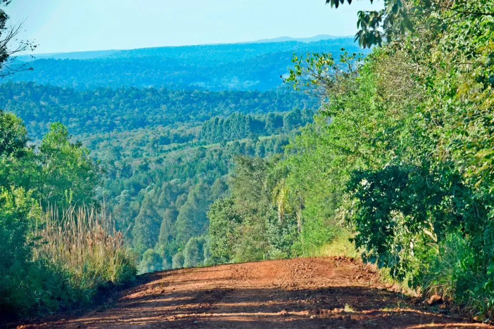 La biodiversidad de Misiones es un atractivo a nivel mundial.