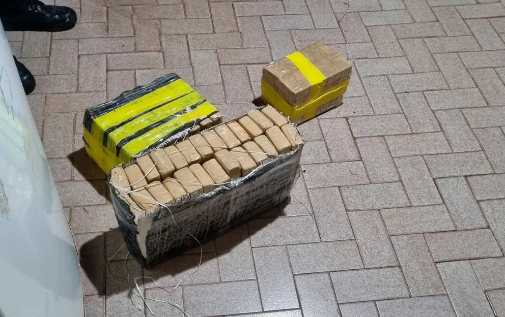 El aforo estimado de la marihuana roza 3 mil millones de pesos.  Foto: polmis