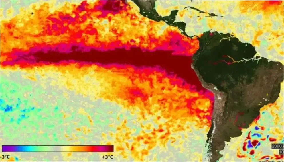 Un mapa térmico registra el incremento de la temperatura superficial en el océano Pacífico ecuatorial debido al fenómeno de El Niño junto con una escala en grados Celsius. (Imagen Ilustrativa de Infobae).