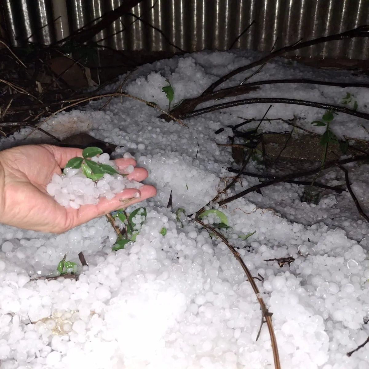 Intensa granizada afectó a Campo Grande, Dos de Mayo, Aristóbulo del ...