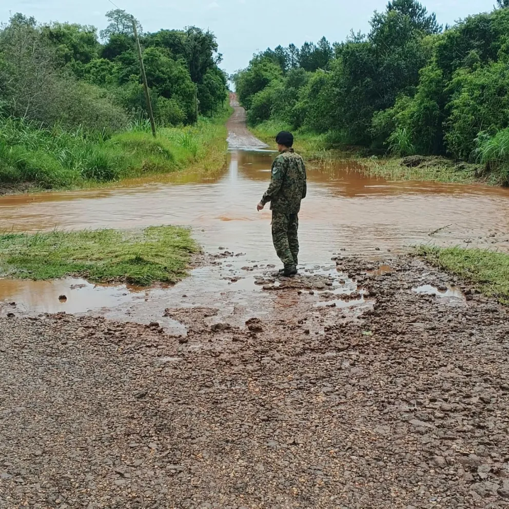 Fotos: Policía de Misiones 