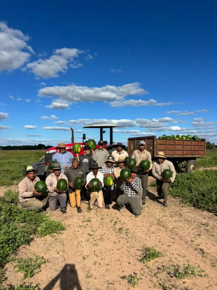 Dulzura regional, Saladas corrientes destaca por su producción de sandías. Foto Inta Saladas